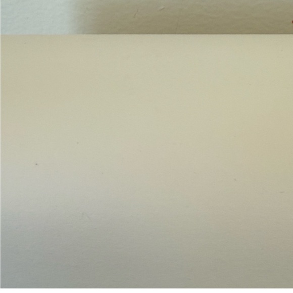 Dolce & Gabbana bag - Picture 9 of 11